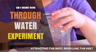 Magnetism Through Water: A Simple Science Experiment to Try