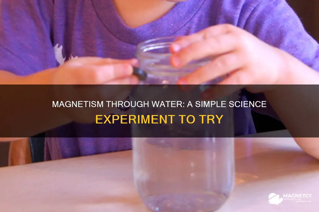 can a magnet work through water experiment