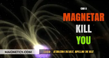 Magnetar's Deadly Power: Can Their Extreme Fields Endanger Human Life?