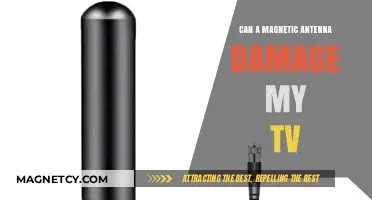 Can Magnetic Antennas Harm Your TV? Facts and Safety Tips