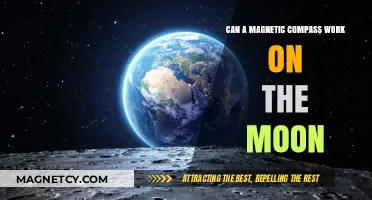 Does a Magnetic Compass Function on the Moon's Surface?