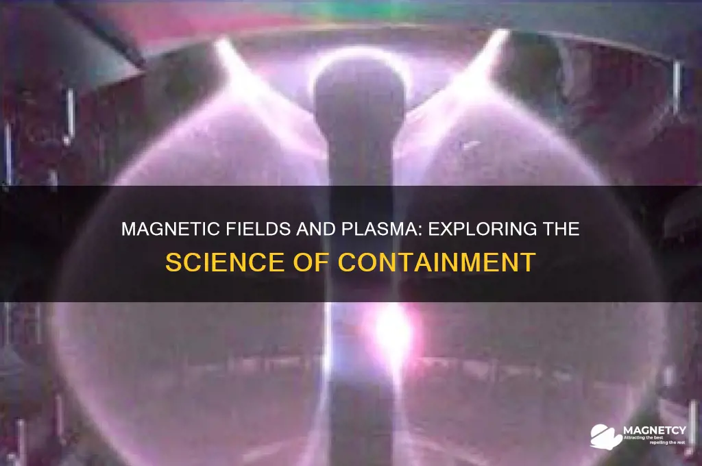 can a magnetic feild hold plasma