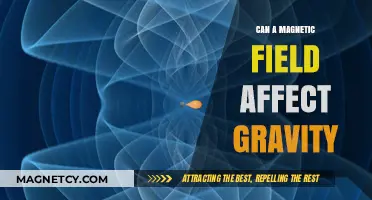 Magnetic Fields and Gravity: Exploring Their Intriguing Interplay