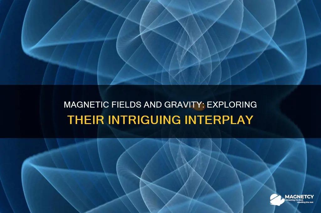 can a magnetic field affect gravity