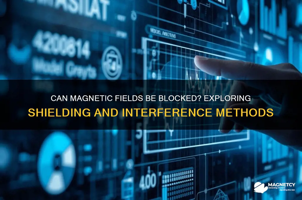 can a magnetic field be blocked