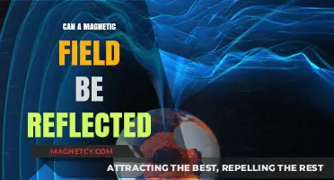 Can Magnetic Fields Reflect? Exploring the Science Behind Reflection