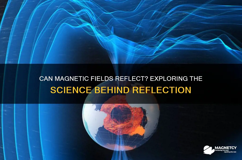 can a magnetic field be reflected
