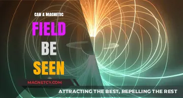 Visualizing Magnetic Fields: Unveiling the Invisible Forces Around Us