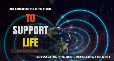Magnetic Fields: Life's Lifeline or Lethal Force?
