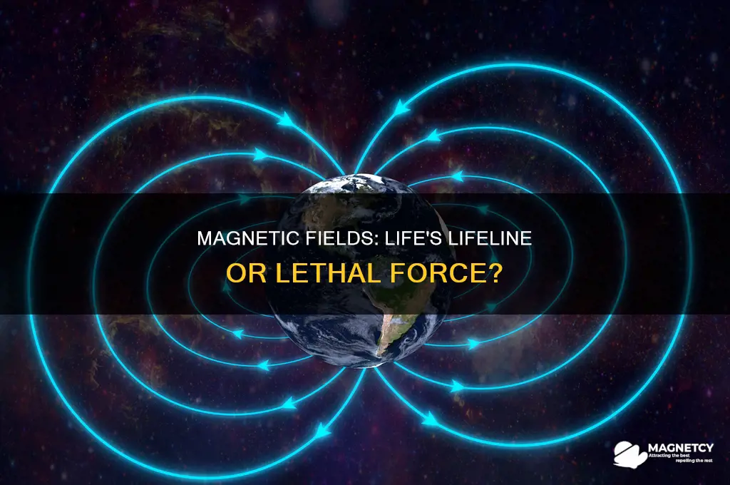 can a magnetic field be too strong to support life