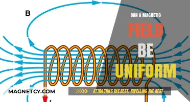 Exploring Uniformity: Can Magnetic Fields Be Truly Consistent?