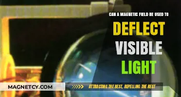 Can Magnetic Fields Deflect Visible Light? Exploring the Science