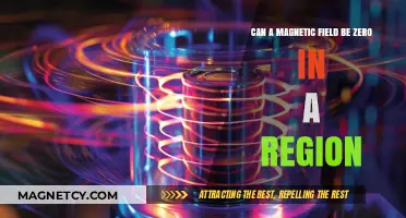 Exploring Magnetic Fields: Can They Truly Be Zero in Any Region?