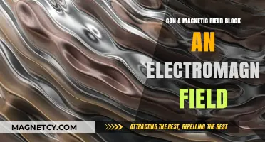 Can Magnetic Fields Block Electromagnetic Waves? Exploring the Science
