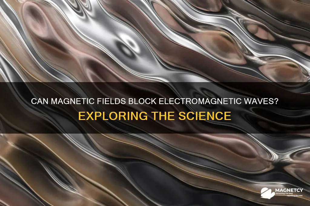 can a magnetic field block an electromagnetic field