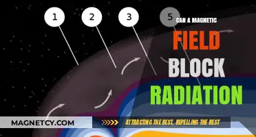 Can Magnetic Fields Shield Against Harmful Radiation? Exploring the Science