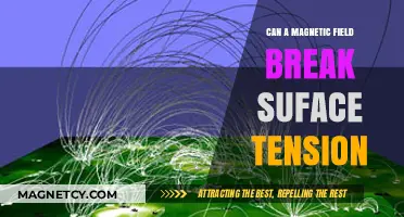 Magnetic Fields vs. Surface Tension: Can They Break the Barrier?