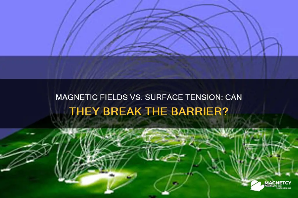 can a magnetic field break suface tension