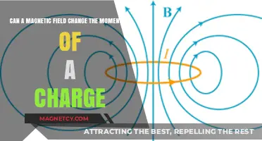 Magnetic Fields and Charge Momentum: Unraveling the Interaction Dynamics