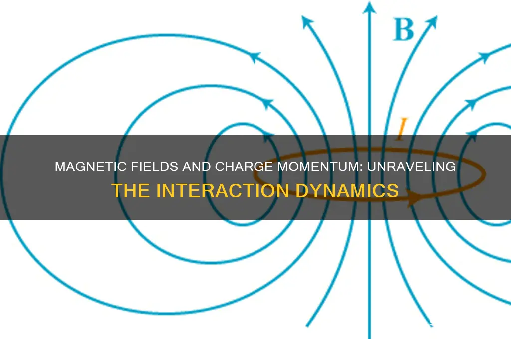 can a magnetic field change the momentum of a charge
