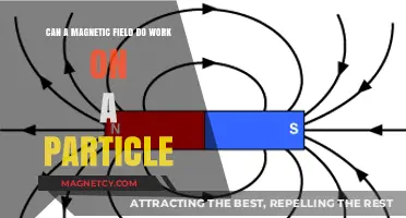 Magnetic Fields and Work: Unraveling the Particle Interaction Mystery
