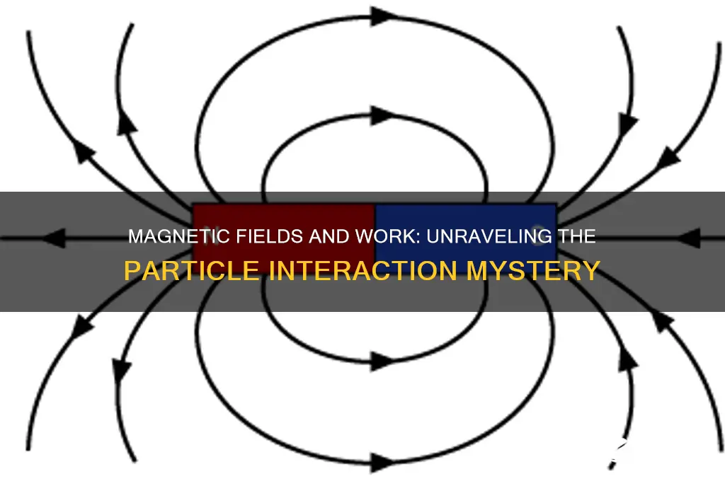 can a magnetic field do work on a particle