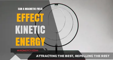 Magnetic Fields and Kinetic Energy: Exploring Their Intriguing Interaction