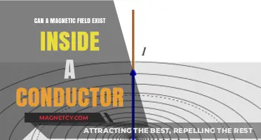 Can Magnetic Fields Penetrate Conductors? Exploring the Science Behind It