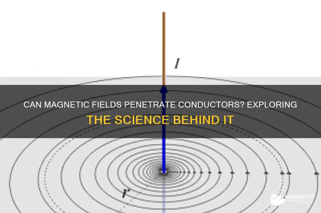 can a magnetic field exist inside a conductor