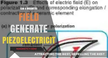Exploring Magnetic Fields' Potential to Induce Piezoelectric Effects