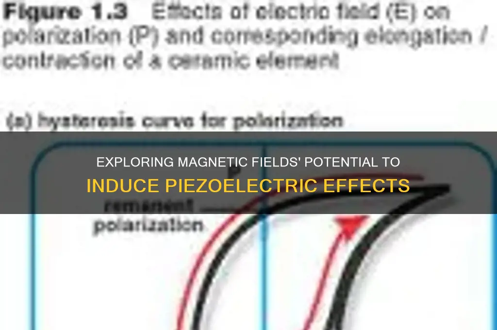 can a magnetic field generate piezoelectricity