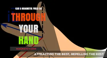 Can Magnetic Fields Pass Through Your Hand? Science Explained