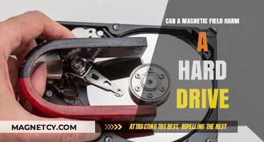 Magnetic Fields and Hard Drives: Potential Risks and Safeguards Explained