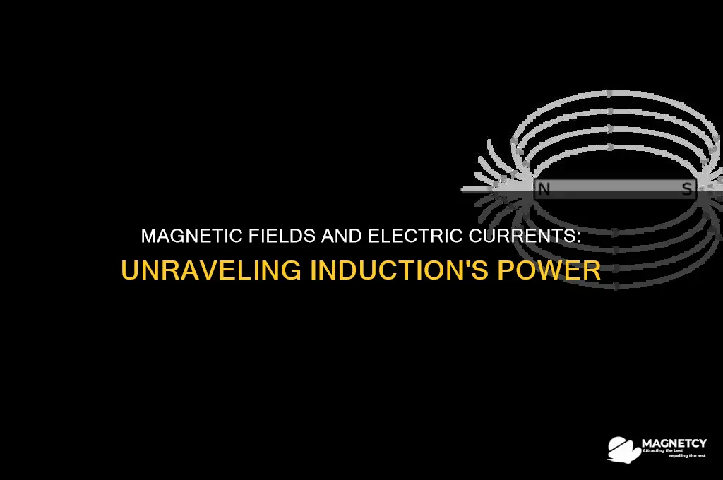 can a magnetic field induce an electric current