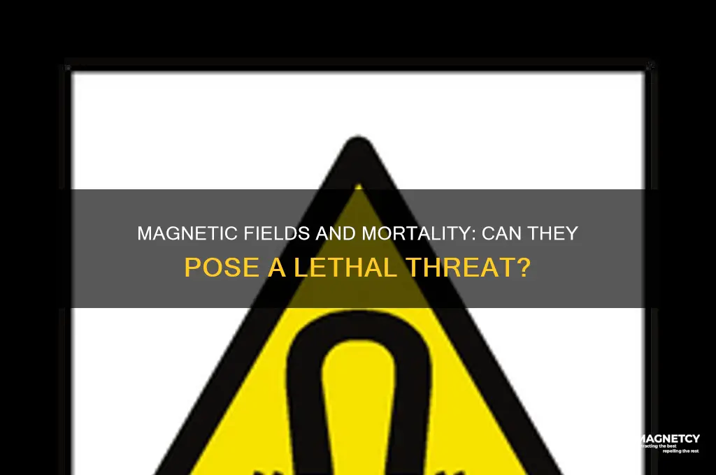 can a magnetic field kill you