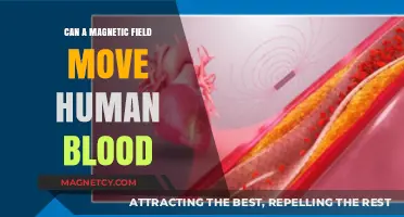Magnetic Fields and Blood Flow: Exploring the Science Behind Movement