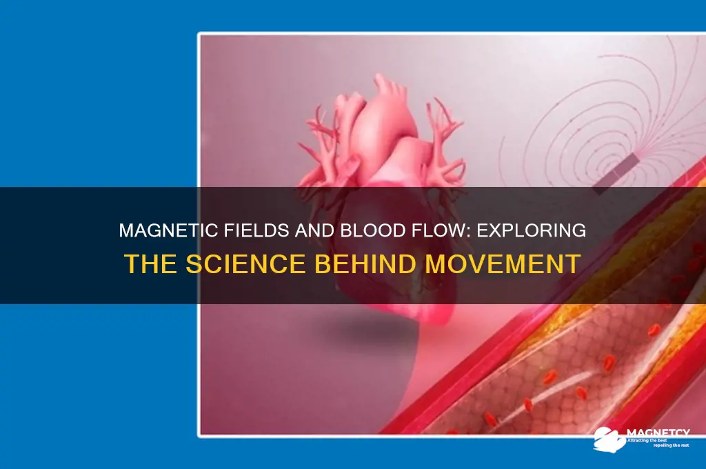 can a magnetic field move human blood