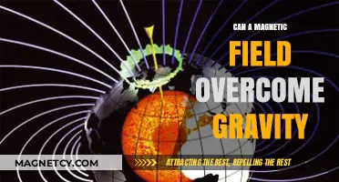 Magnetic Fields vs. Gravity: Can One Overpower the Other?