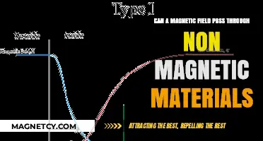 Can Magnetic Fields Penetrate Non-Magnetic Materials? Exploring the Science