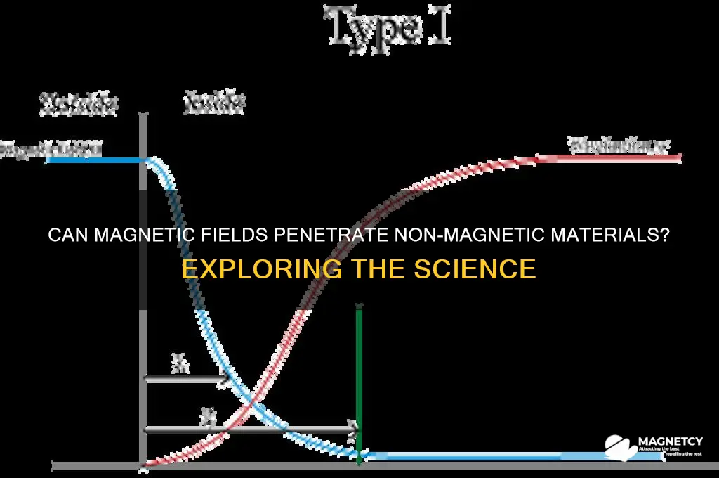 can a magnetic field pass through non magnetic materials