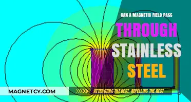 Can Magnetic Fields Penetrate Stainless Steel? Exploring Material Permeability