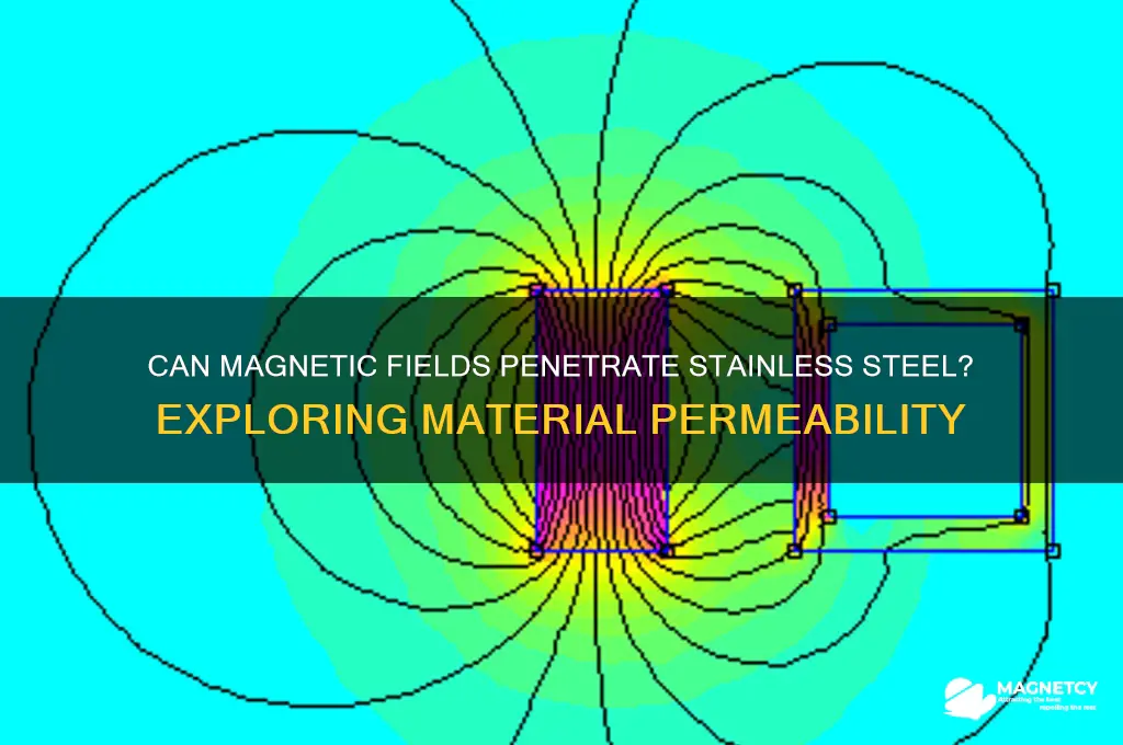 can a magnetic field pass through stainless steel