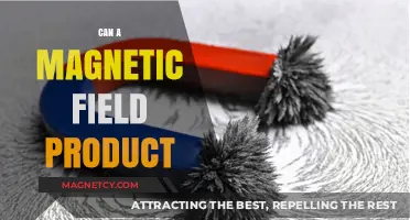 Exploring Magnetic Field Products: Uses, Benefits, and Innovations