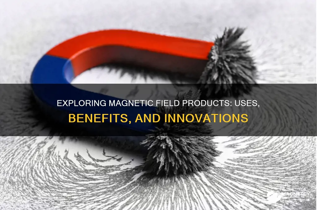 can a magnetic field product