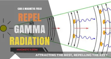 Can Magnetic Fields Repel Gamma Radiation? Exploring the Science