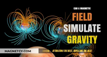 Magnetic Fields as Gravity: Unraveling the Science Behind the Simulation