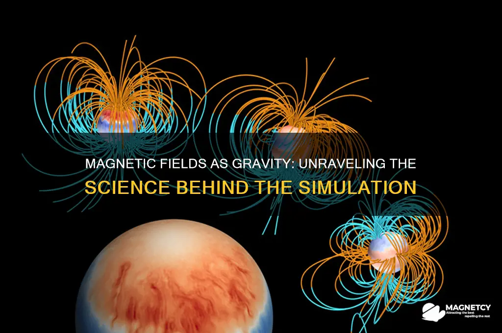 can a magnetic field simulate gravity