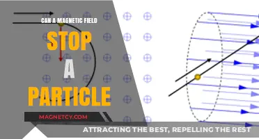 Can Magnetic Fields Halt Particle Motion? Exploring the Science Behind It