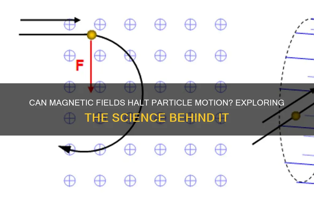 can a magnetic field stop a particle