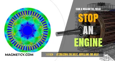 Magnetic Fields vs. Engines: Can They Halt Combustion?